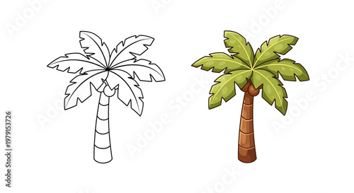Palm Tree Outline and Colored Illustration - Tropical Plant Vector