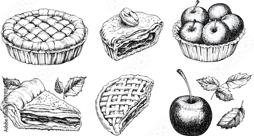 Handdrawn illustration of delicious apple pies and fresh apples.
