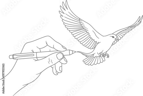 Human hand drawing a flying dove with a pen to symbolize creative freedom and artistic inspiration in a simple sketch