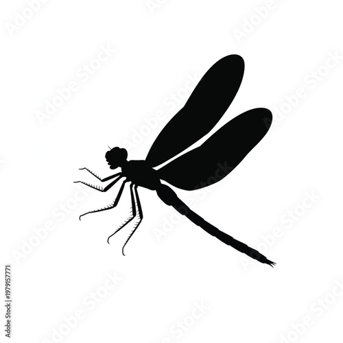 Foto Silhouette of a dragonfly in flight against a white background