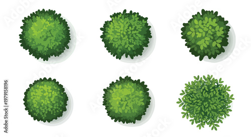 Top view tree set for landscape design, collection of 6 green bush and shrub icons, overhead garden plant symbols for site plans