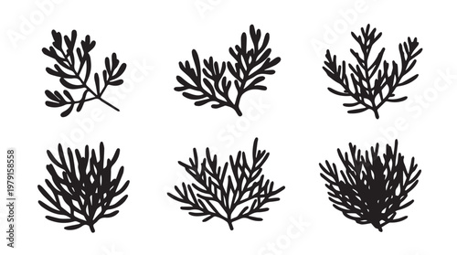 Collection of Dill Fronds in Minimalist Silhouette Style