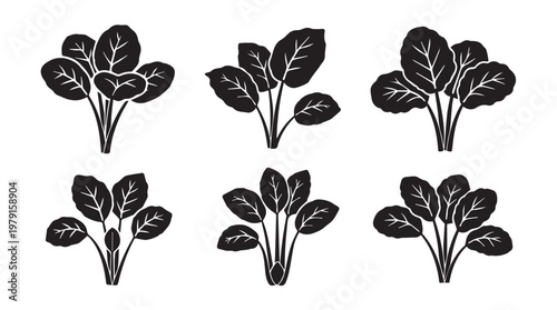 Collection of stylized spinach plant silhouettes for healthy eating and organic farming concepts