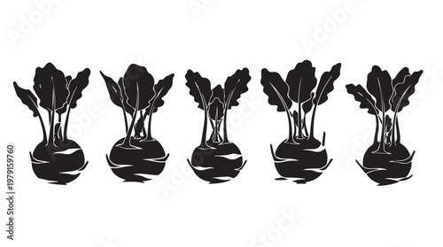 Five Kohlrabi Vegetables in Silhouette with Detailed Leaves Against a White Background
