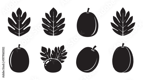 Jackfruit and Leaves Silhouettes for Tropical Food and Nature Concepts