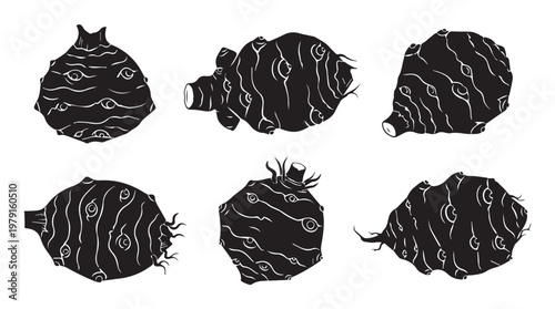 Jerusalem Artichoke Root Vegetables in Stylized Silhouette Against White