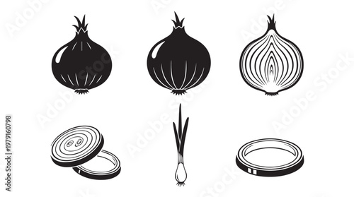 Onion illustration with whole bulbs sliced rings and cross-section in graphic style