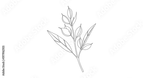 A simple black and white drawing of a plant with leaves on a plain background.
