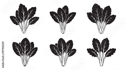 Six black silhouette illustrations of fresh spinach leaves arranged in clusters on a white background