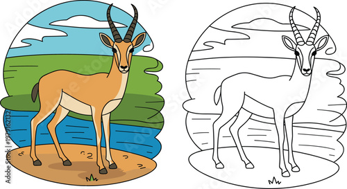 Vector illustration of antelope with colored and outline versions for children’s coloring activities