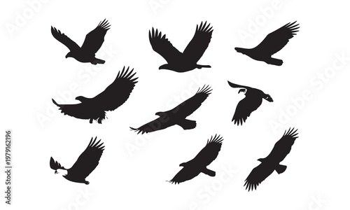 Soaring Bird Silhouettes Collection with Wings Spread