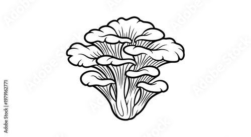 A simple black and white illustration of a mushroom with visible gills.