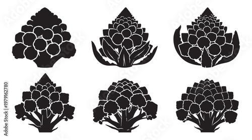 Six Romanesco broccoli florets silhouette designs against a white background