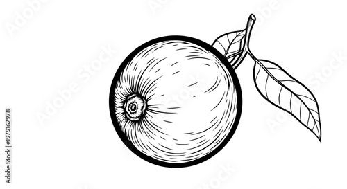 A simple black and white illustration of a fruit with leaves.