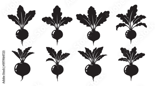 Beetroot plants growing in a row with leafy greens and root vegetable