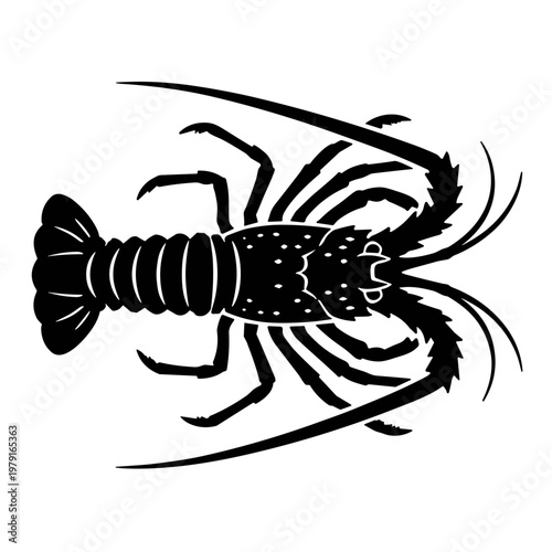 vector illustration of a Spiny Lobster