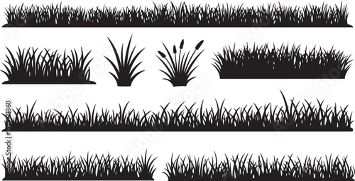 Collection of various grass silhouettes and plants on white background