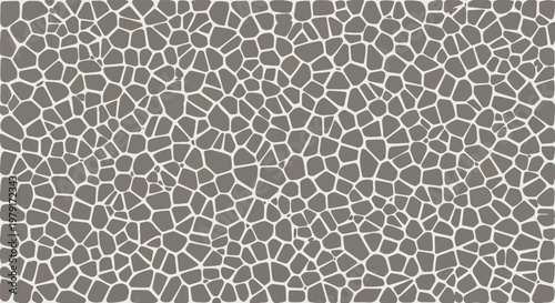 Cracked Earth Surface with Broken Ground.