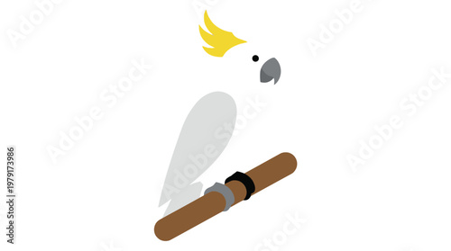Cockatoo holding a brown cigar stick.