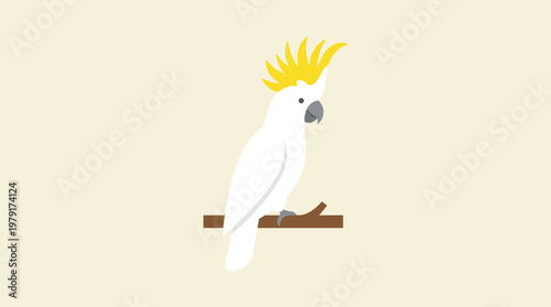 A white cockatoo perched on branch.