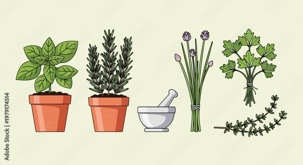 Obraz premium Herbs and Potted Plants with Mortar.