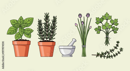 Herbs and Potted Plants with Mortar.