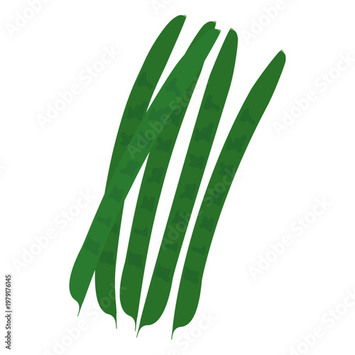 インゲン豆のアイコンイラスト