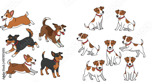 Cartoon Dog Illustration Vector – Cute Jack Russell and Corgi Dogs in Various Poses with Red Collars