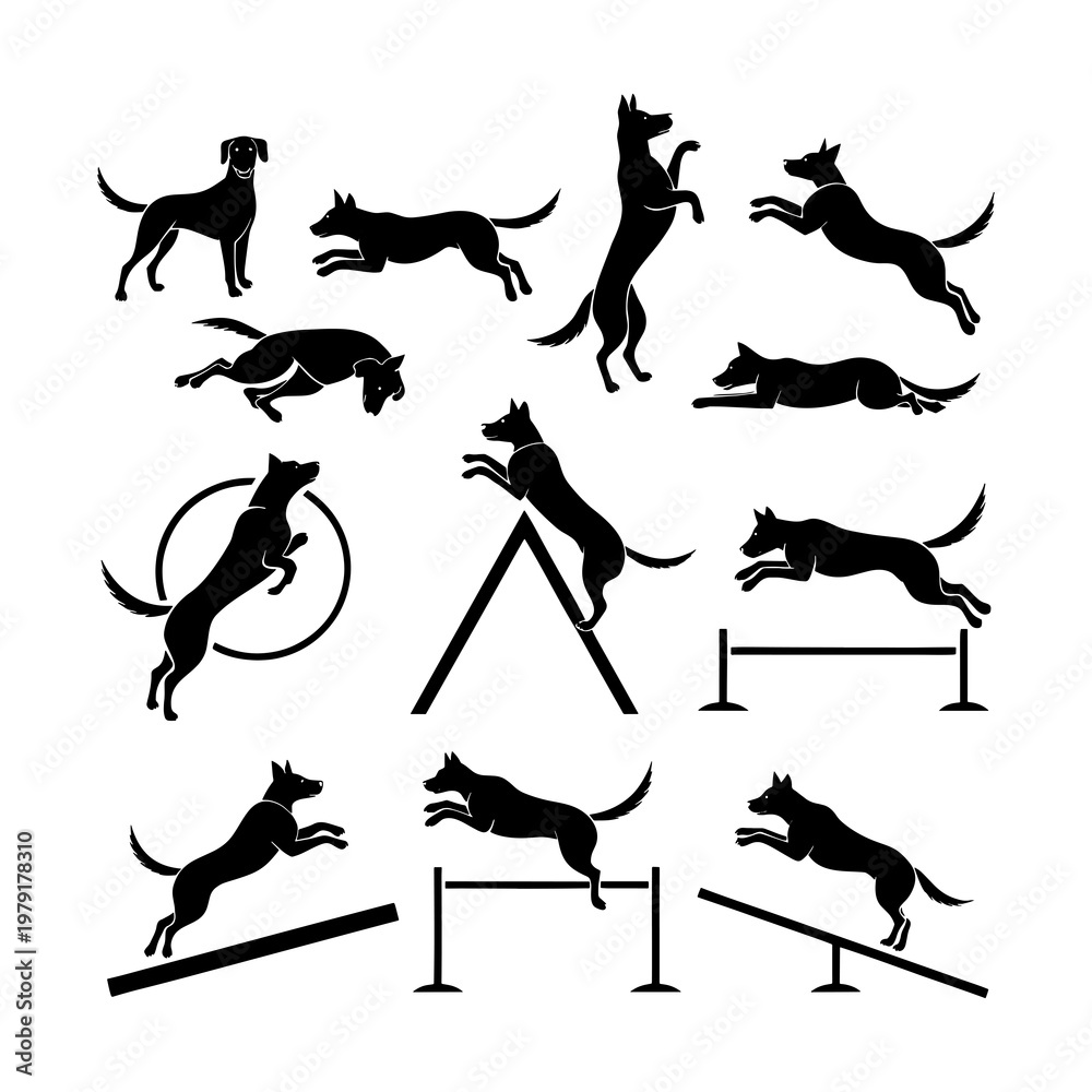 Fototapeta premium set of dogs silhouettes