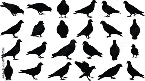 Tableau sur toile Large collection of black pigeon and dove silhouettes in various poses like flying, sitting, and walking isolated on white background for nature and urban designs