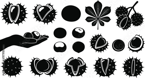 Cuadro en lienzo Set of horse chestnut silhouettes with spiky shells, autumn leaves, nut clusters, and hand holding nuts isolated on white background for nature and forest designs