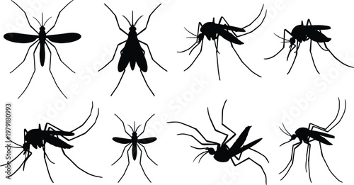 Set of black mosquito silhouettes in various flying and sitting poses isolated on white background for health, pest control, malaria, and virus prevention designs.