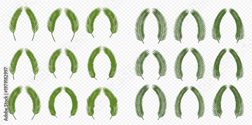 Set of green banana leaves isolated on transparent background, tropical foliage design elements.