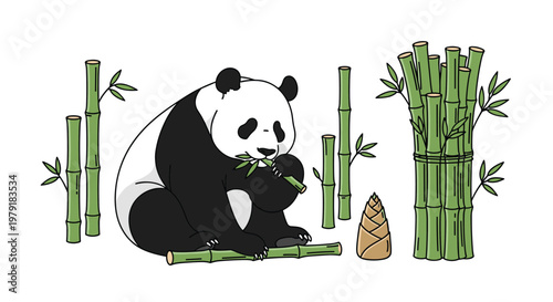 Peaceful giant panda sitting amongst bamboo stalks and eating fresh green shoots in its natural forest habitat.