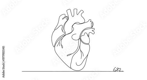 Minimalist Single Line Drawing of a Human Heart on White Background
