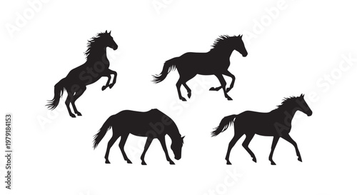 A flock of ducks gracefully swimming together in a serene natural habitat