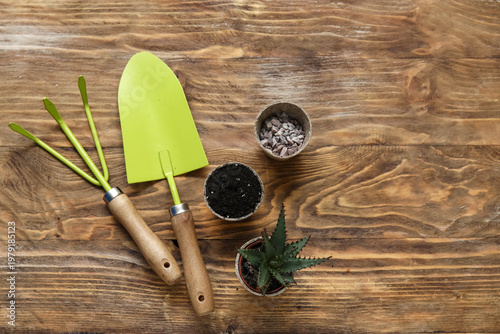 Aloe vera, gardening tools ...