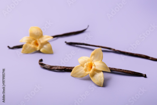 Beautiful vanilla flowers a...