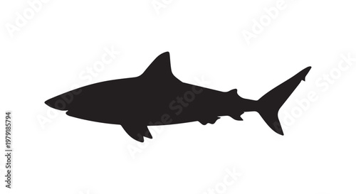 Elegant silhouette of a great white shark gliding through the ocean depths with precision