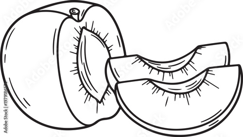 Line Art Peach Halved with Slices Isolated on White Background