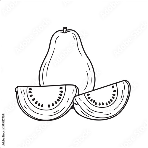 Pear cut in half showing seeds and flesh simple line drawing isolated on white stock illustration