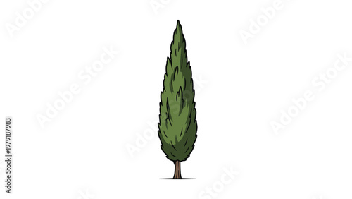 Single tall and slender green cypress tree depicted in a simple artistic style on a clean white background for landscape and nature design.
