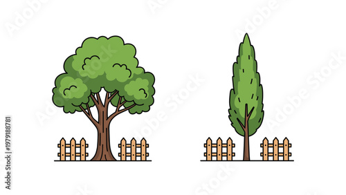 Illustration of two different trees including a bushy green tree and a tall cypress behind a short wooden fence for garden design themes.