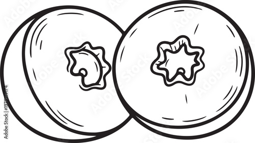 Two blueberries simple line drawing isolated on white background healthy food concept stock illustration