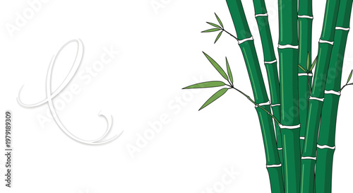 Close-up of fresh green bamboo stalks with leaves isolated on white background symbolizing nature and sustainability