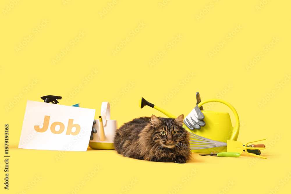 Ταπετσαρία Cute cat, gardening tools and paper sheet with word JOB on yellow background