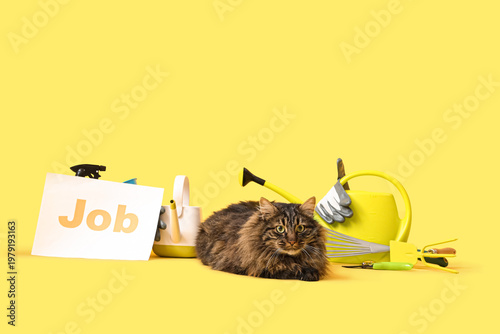Bilde på lerret Cute cat, gardening tools and paper sheet with word JOB on yellow background