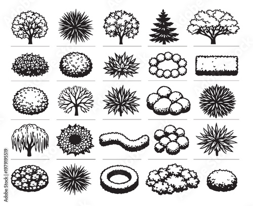 Landscape Architecture Tree and Bush Symbols Set for Garden Plan and Site Mapping