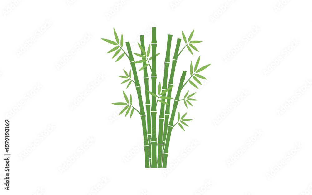 Obraz premium Green bamboo stalks with leaves on white background