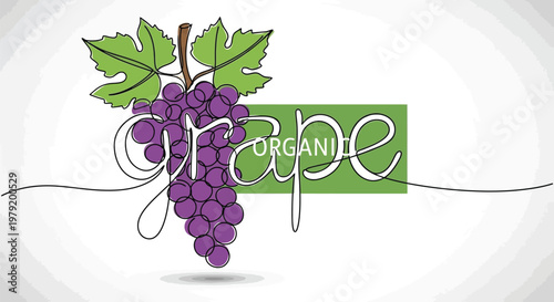 Vibrant Organic Grapes with Green Leaves in Continuous Line Art Style